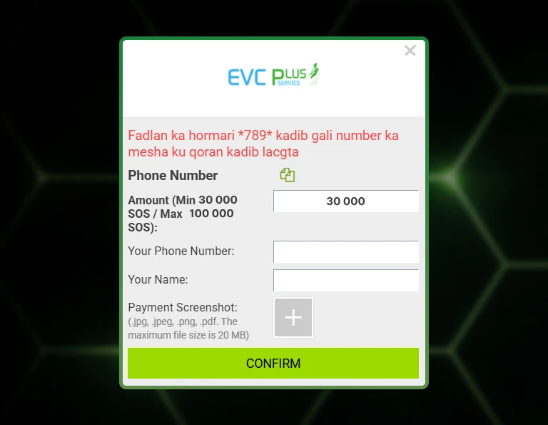 Withdrawal amount input window